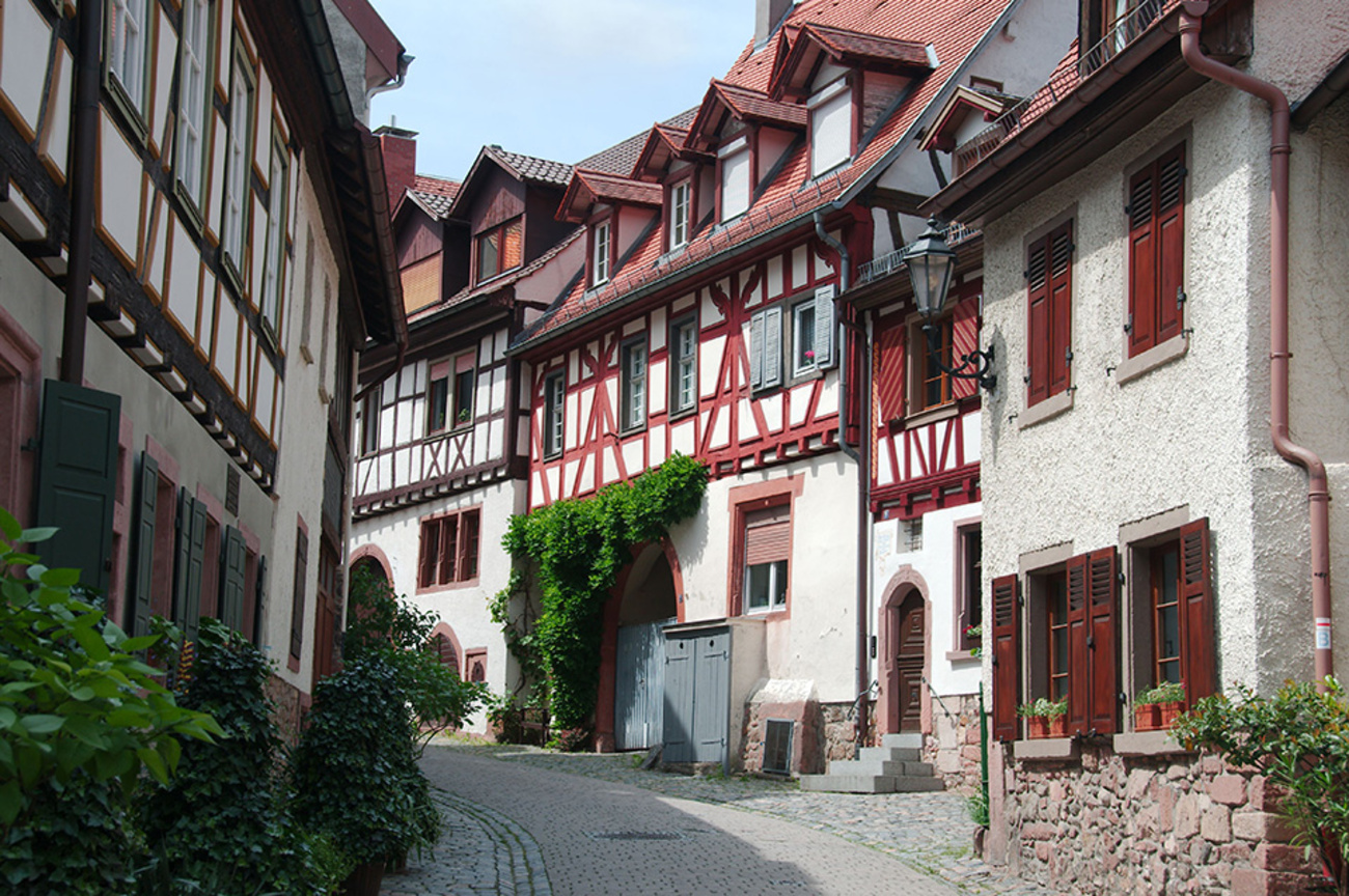 Altbau­sanierung bei Elektro Reinhard GmbH in Mannheim